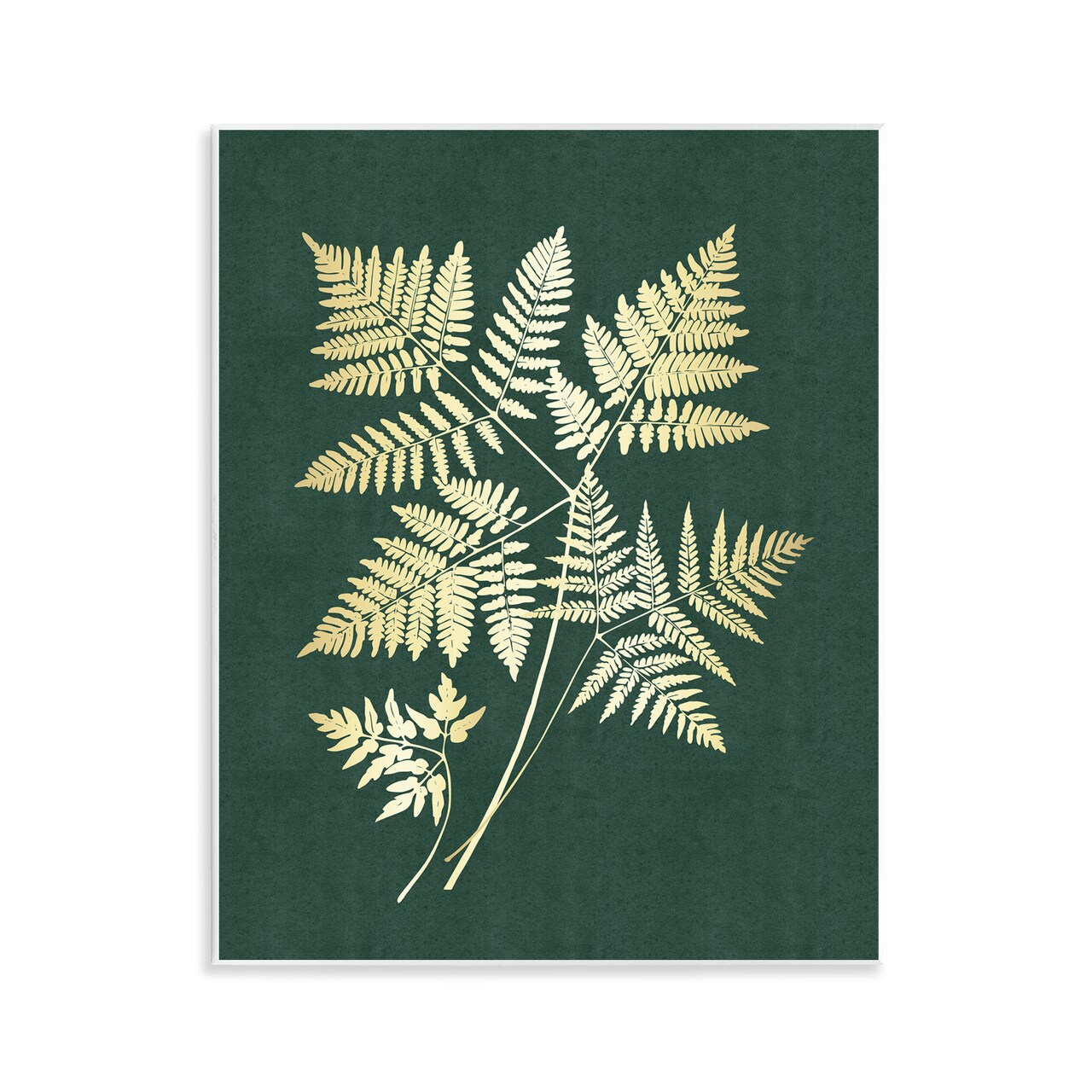 Stupell Industries Fern Leaves on Green Wall Plaque Art Design by JJ Design House LLC